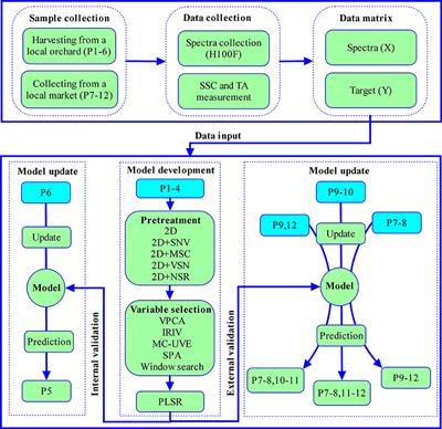 Model development and update of portable NIRS instrument for assessment of internal quality attributes of two navel orange varieties